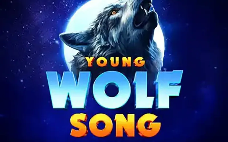 High payouts and big multipliers are all about the Young Wolf Song game from 1Win casino.