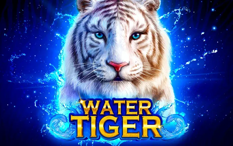 Water Tiger at Betandyou dive into thrilling adventures.