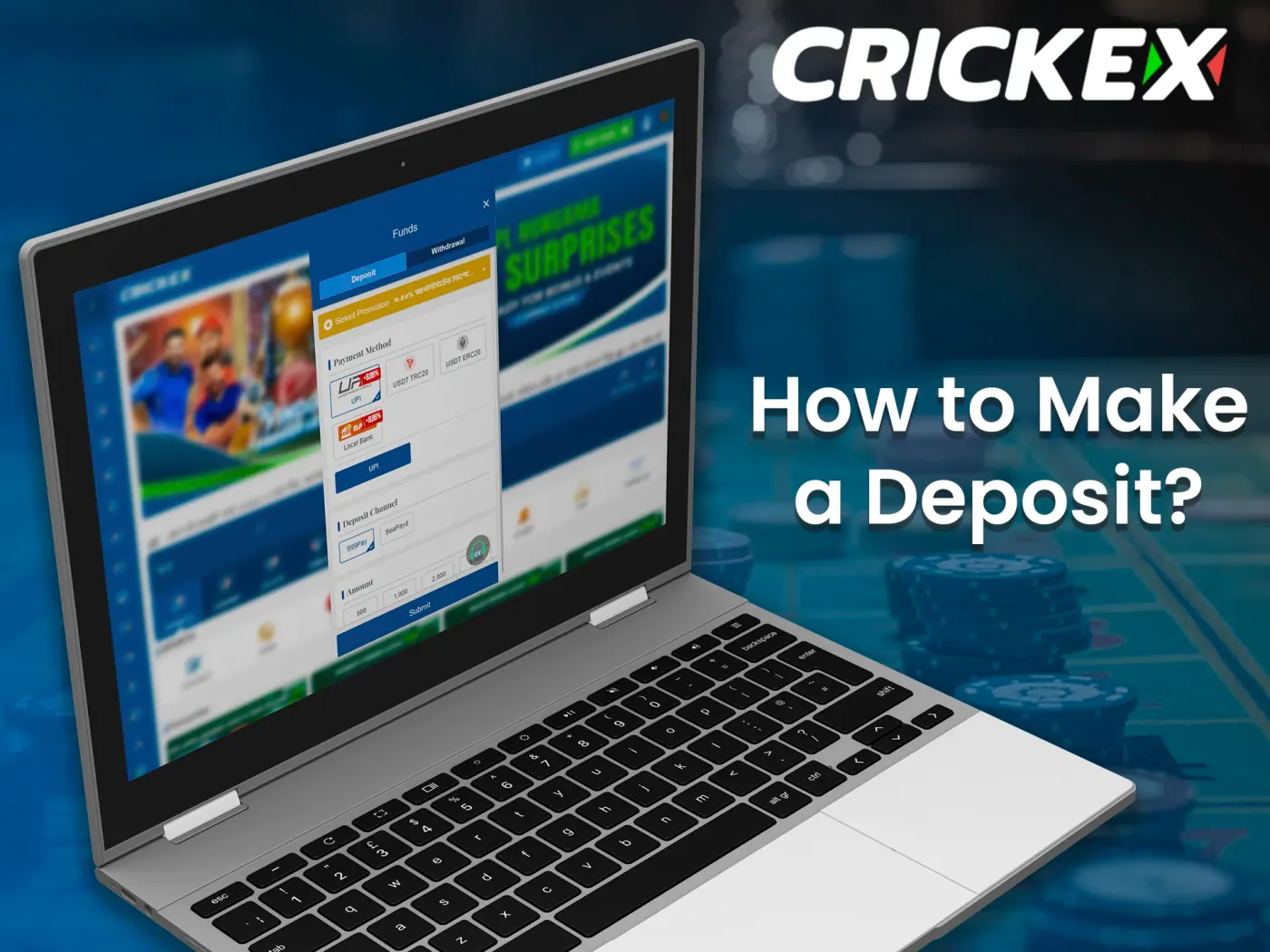 Follow these steps to add money to your Crickex account.