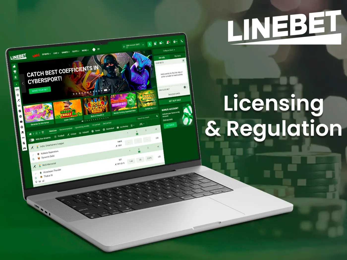 Linebet casino licence information.